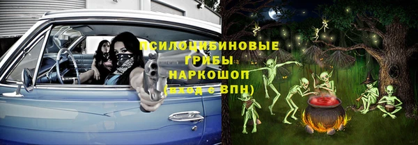 ECSTASY Белокуриха