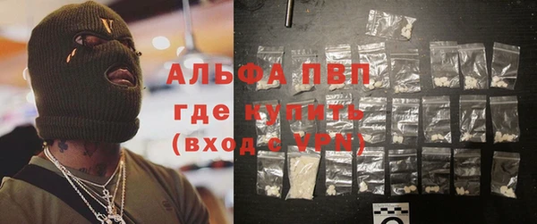 ECSTASY Белокуриха