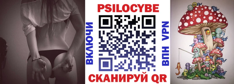 Псилоцибиновые грибы GOLDEN TEACHER  Гудермес 