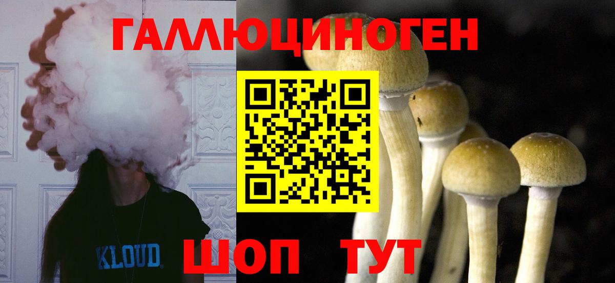 Гудермес  Псилоцибиновые грибы мухоморы  Вход с VPN 