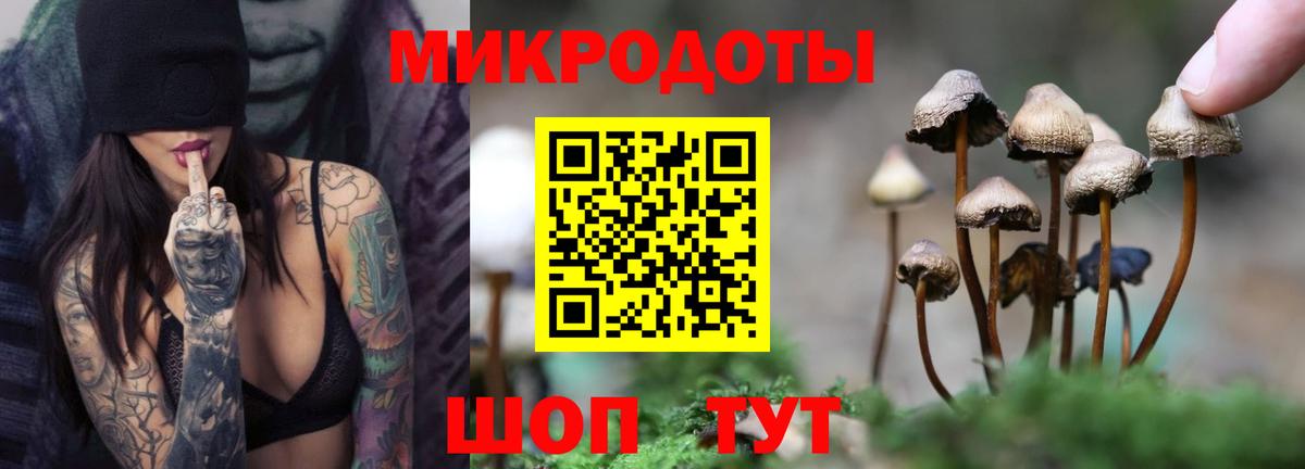 Галлюциногенные грибы прущие грибы Гудермес